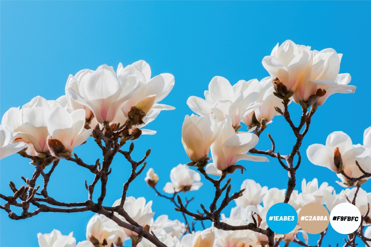 Spring is coming，燕大为你试色限定春季“彩妆”（组图）